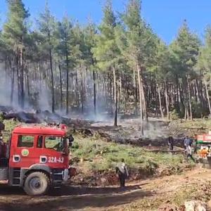 Bucakta orman yangını büyümeden söndürüldü