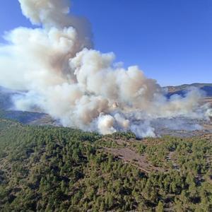 Bursa’nın 2 ilçesinde orman yangını