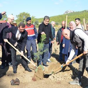 Serikte fidanlar toprakla buluştu