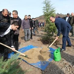 Orhanelide 300 fidan toprakla buluştu