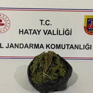 Hatay’da kaçakçılık ve uyuşturucu operasyonları: 31 gözaltı