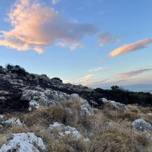 Hatay’da makilikte çıkan yangın söndürüldü