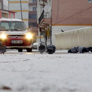 Kars, Ardahan, Ağrı ve Tuncelide kar yağışı etkili oldu