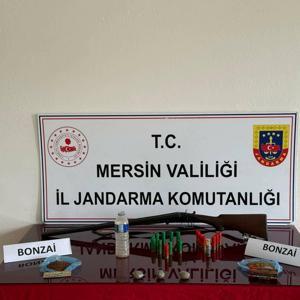 Mersinde uyuşturucu operasyonu: 4 gözaltı