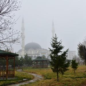 Ardahan’da sis etkili oldu