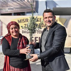 Mersinde çiftçiye zeytin fidanı ve mısır flake yem desteği