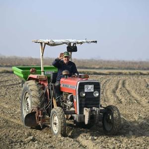 Manisada hibe tohumlar toprakla buluştu