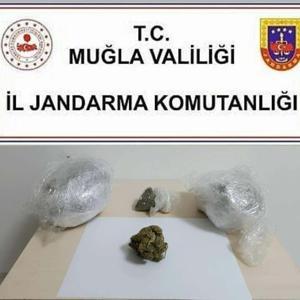 Ormanda 1 kilo skunk ele geçirildi; 3 gözaltı