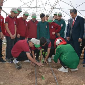 Silopi’de tropikal meyve fideleri dikildi