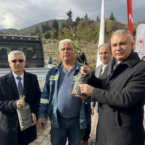 Hatay’da çiftçilere 4 bin adet alıç fidanı dağıtıldı