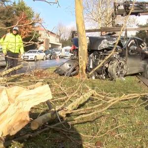 İstanbul - Sarıyer’de 2 otomobile vurduktan sonra ağaca çarptı: 2 yaralı