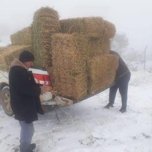 Kırşehirde yaban hayvanları için doğaya yem bırakıldı