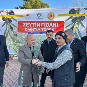 Adıyamanda çiftçilere zeytin fidanı dağıtıldı