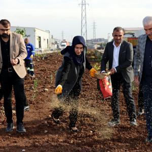 Akdeniz yeni bir yeşil alan kazanıyor