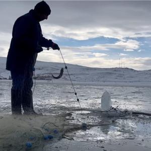 Eskimo usulü göle atılan ağlar bereketle çekildi