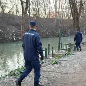 Balık sürüsünün peşinden Bartın Irmağına giren yavru yunus bulunamadı