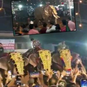 Festival alanı facia alanına döndü Fil insanlara saldırdı, havaya kaldırıp yere fırlattı