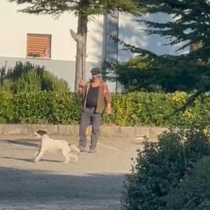 Olta ucuna bağladığı canlı güvercinle av köpeğine eğitim yaptıran kişiye para cezası