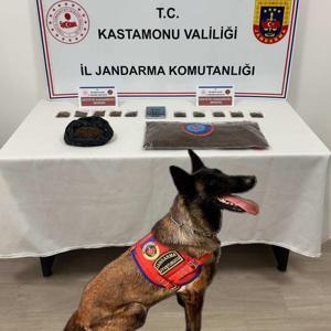 Kastamonuda Narkotik Operasyonu: 2 Şüpheli Tutuklandı