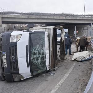 Büyükbaş yüklü kamyonet devrildi