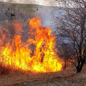 Çemişgezekte otluk arazide çıkan yangın söndürüldü