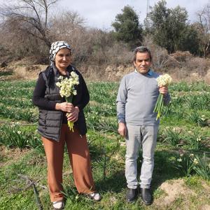 Kadın üretici, nergislerine pazar arıyor