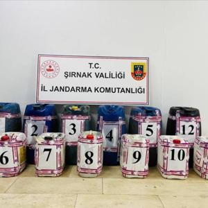 Şırnak’ta, kaçakçılık operasyonlarında 73 gözaltı