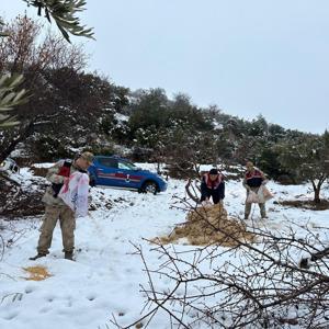 Kiliste yaban hayvanları için doğaya yem bırakıldı