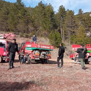 Ormanda çıkan örtü yangını söndürüldü