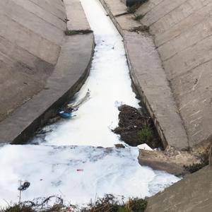 Tekirdağda atıkların karıştığı dere beyaz aktı