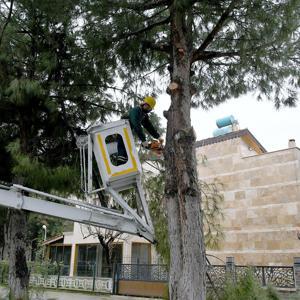 Kuşadasında temizlik seferberliğinin adresi bu defa Kadıkalesi Mahallesi oldu