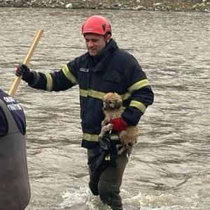 Dere yatağında mahsur kalan yavru köpeği itfaiyeciler kurtardı