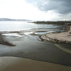 Gölcükte deniz kıyısı çamurla kaplandı