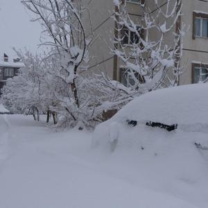 Bitliste kar kalınlığı 1 metreye ulaştı; 306 köy yolu kapalı