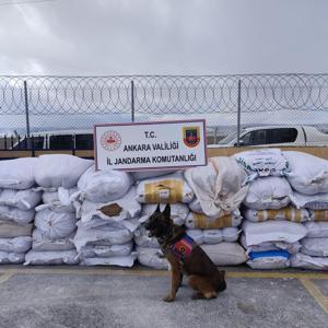 Ankarada 4 bin 700 kilogram kaçak tütün ele geçirildi