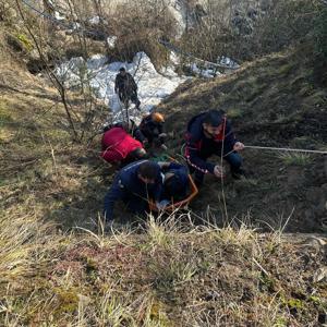 Artvinde dereye düşen kişi kurtarıldı