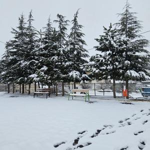 Adananın yüksek kesimlerinde kar etkili oldu
