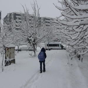 Bitliste kar yağışı; 80 köy yolu kapandı