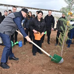 Batmanda fidanlar toprakla buluşturuldu