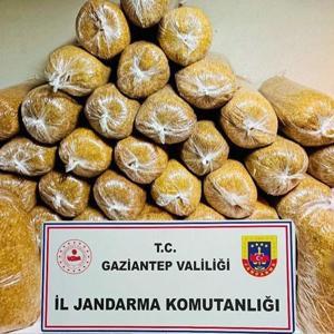 Gaziantep’te kaçakçılığa 38 gözaltı