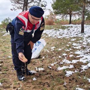 Yozgatta jandarma ekipleri yaban hayatı için doğaya yem bıraktı