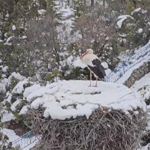 Leylekler Vadisi’nin konuklarına yiyecek bırakıldı