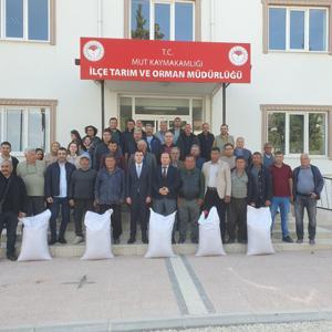 Mutta 7 ton nohut tohumu dağıtıldı