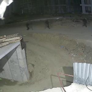 İstanbul- İstanbulda TIRlardan ve inşaatlardan hırsızlık yapan 5 şüpheli yakalandı
