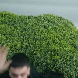Trafikte şoförü ile tartıştığı kamyonu yumrukladı; o anlar kamerada