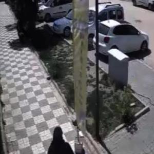 Sokak Köpeklerinin Saldırısı: Anne ve Kızını Çevredekiler Kurtardı