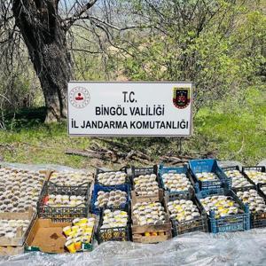 Bingölde Pet Bardaklarda 480 Kök Hint Keneviri Ele Geçirildi