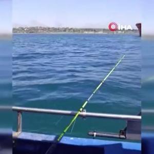 Depreme denizin ortasında yakalandılar: Marmara açıkları bildiğiniz kütürdedi