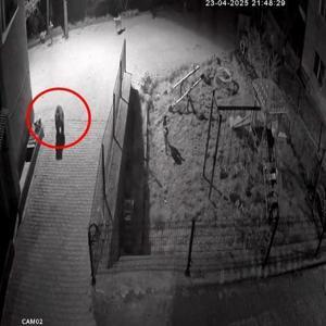 Sokak köpekleri, konteynerde yiyecek arayan ayıyı kovaladı