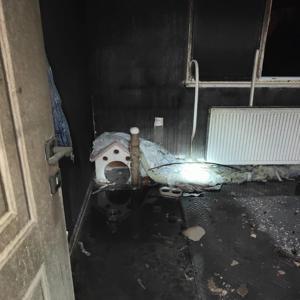 Gömeçte yangında mahsur kalan kedi kurtarıldı